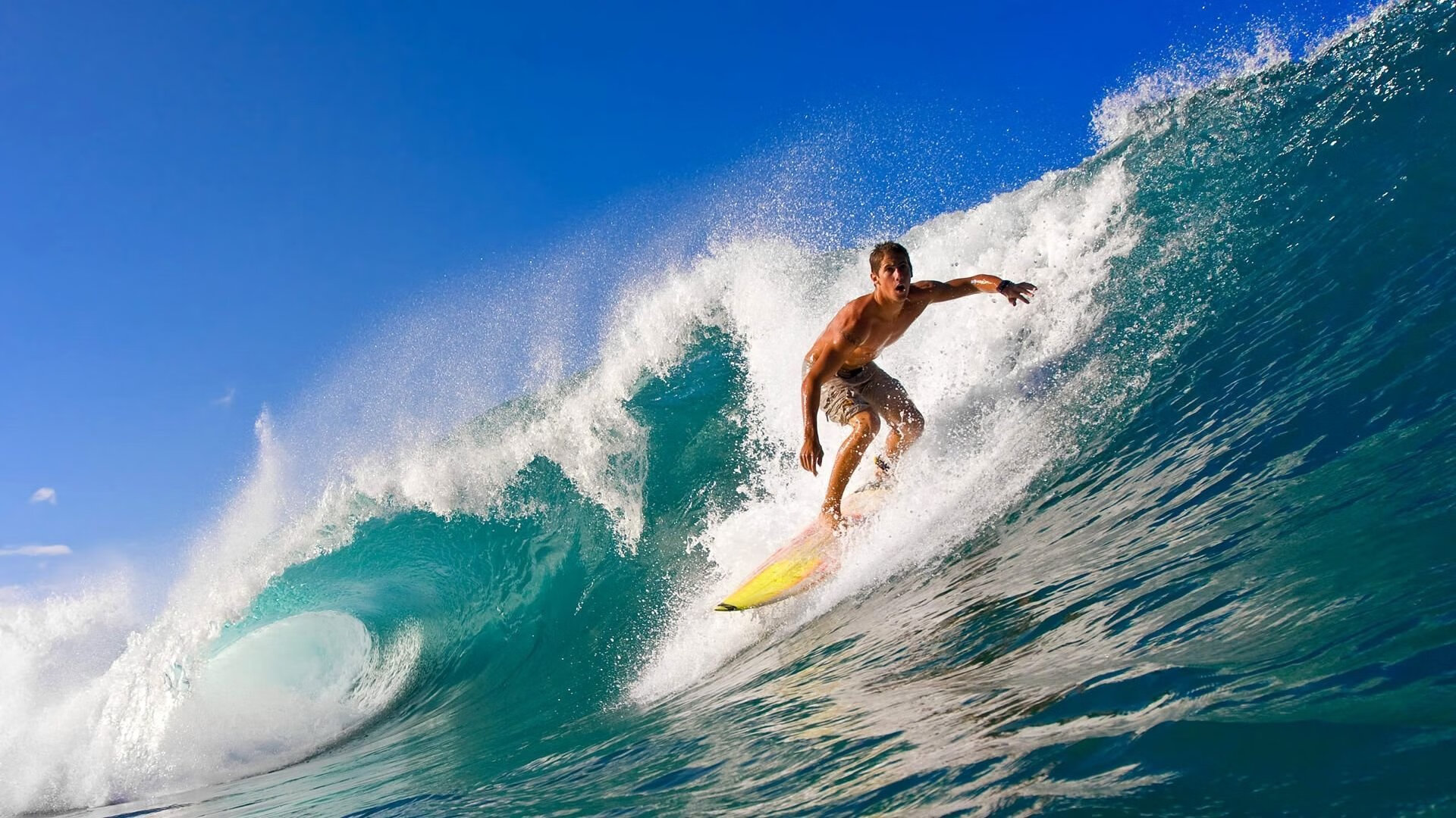 体育志愿服务项目影响力传播路径研究，体育志愿者的价值是什么价值
